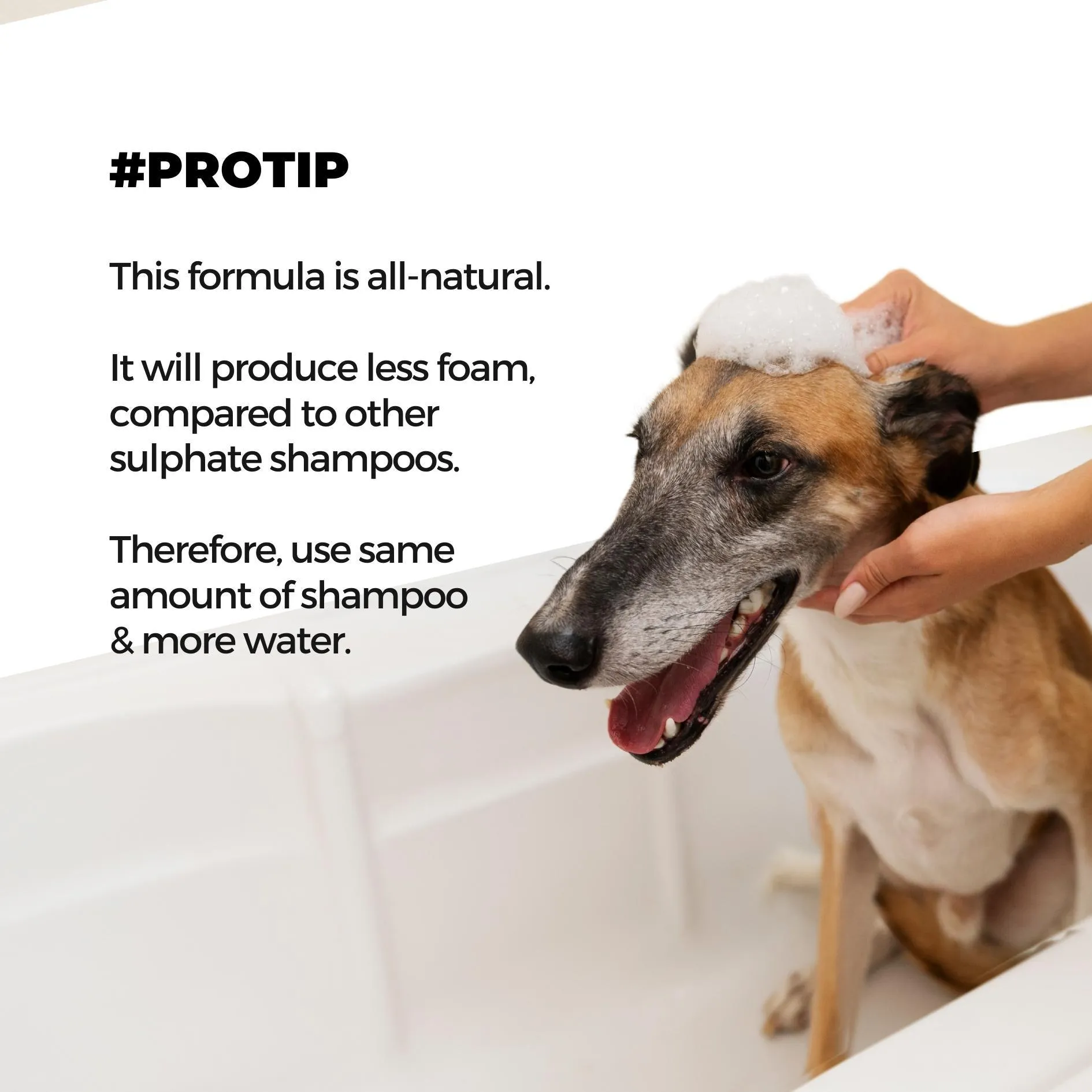 Keratin  Hairfall Shampoo for Dogs & Cats