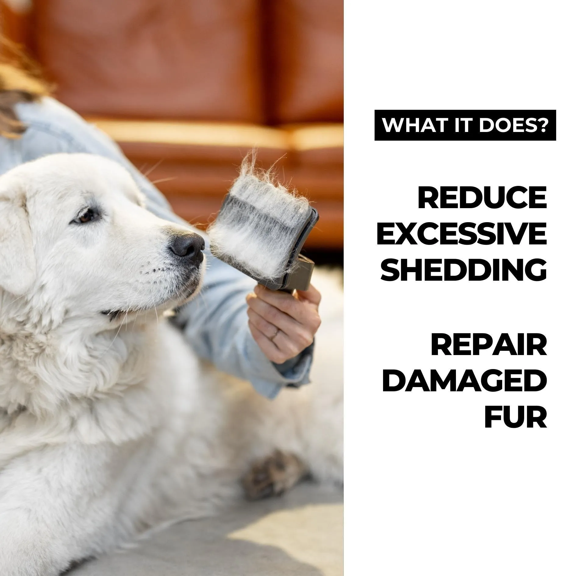 Keratin  Hairfall Shampoo for Dogs & Cats