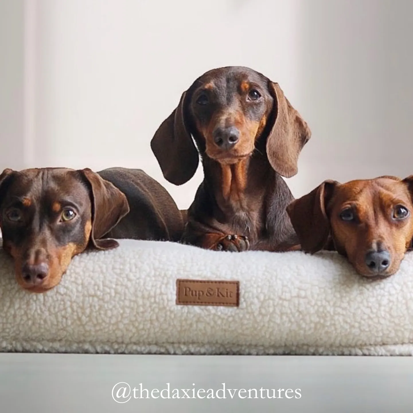 PupPillow Fleece Dog Bed