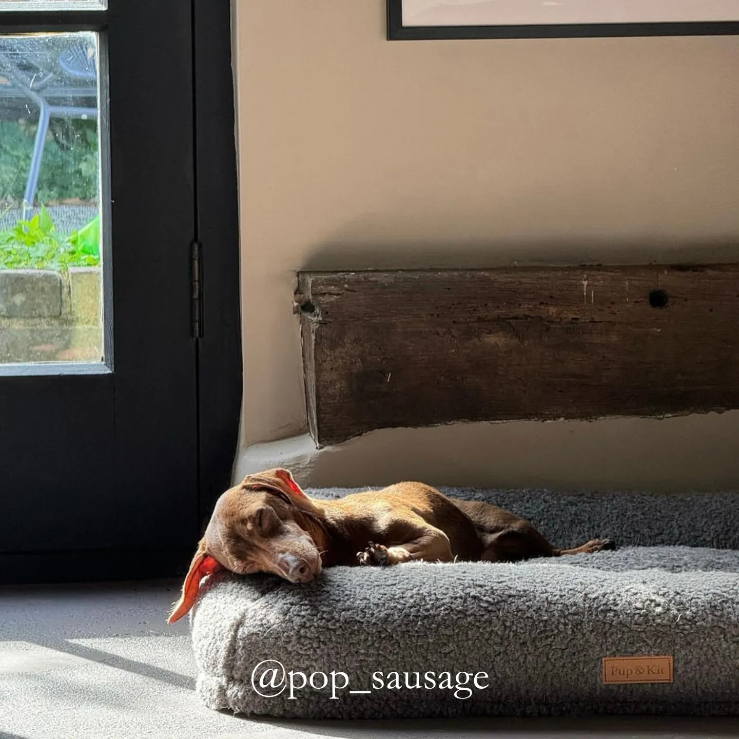 PupPillow Fleece Dog Bed